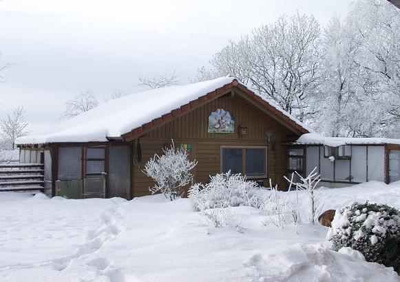 Taubenschlag Winter