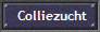 Colliezucht