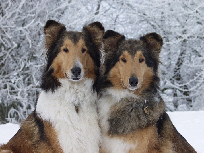 Holly,Lucie, Dez.2010