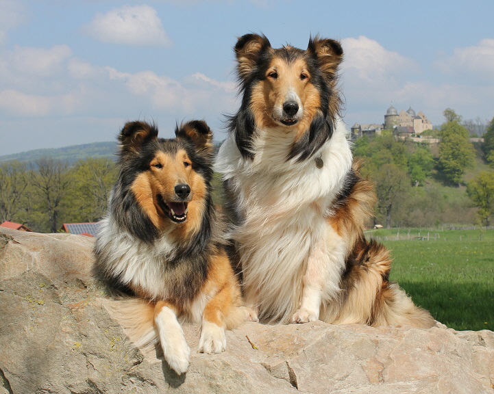 Holly,Lucoie, April 2014