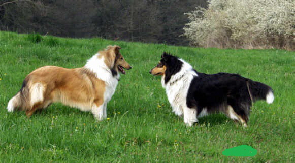 Holly mit ihrer Mutter Emma