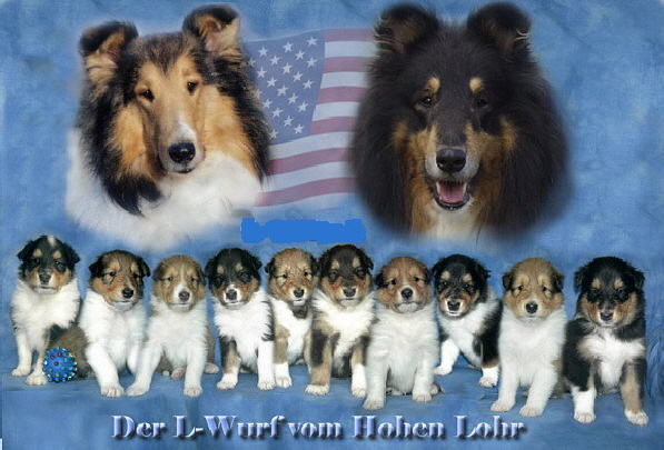 L-Wurf-Collage-a
