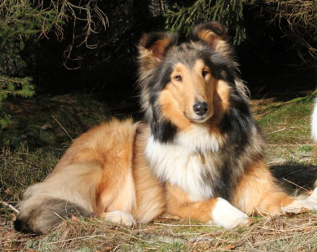 Lucie,13.02.11